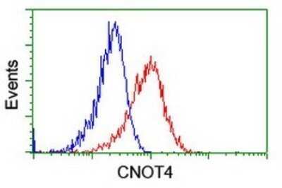 Flow Cytometry: CNOT4 Antibody (OTI3D11) - Azide and BSA Free [NBP2-71203]