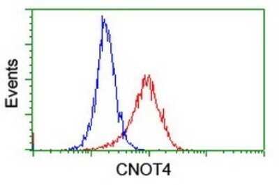 Flow Cytometry: CNOT4 Antibody (OTI3D11) - Azide and BSA Free [NBP2-71203]