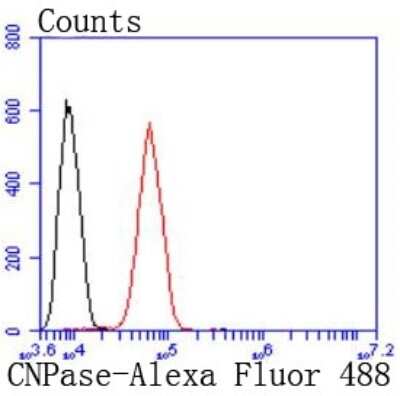 Flow Cytometry: CNPase Antibody (JF10-25) [NBP2-66986]