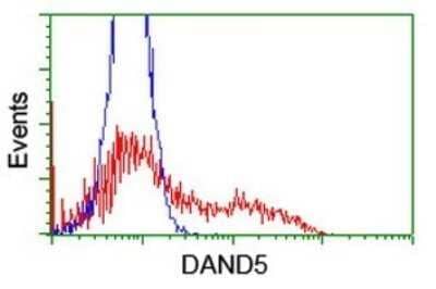 Flow Cytometry: COCO/DAND5 Antibody (OTI3D4) - Azide and BSA Free [NBP2-72457]