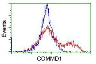 Flow Cytometry: COMMD1 Antibody (OTI1F2) [NBP2-03755]