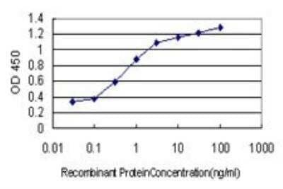ELISA: COMMD1 Antibody (2A12) [H00150684-M01]