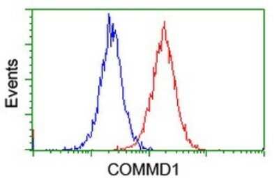 Flow Cytometry: COMMD1 Antibody (OTI2E2) [NBP2-46331]