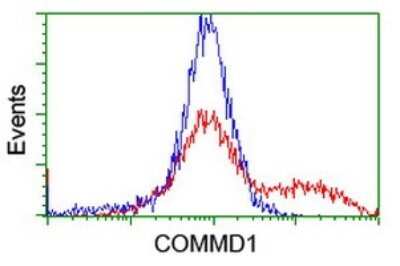 Flow Cytometry: COMMD1 Antibody (OTI2E2) [NBP2-46331]