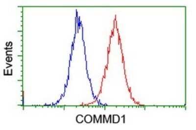 Flow Cytometry: COMMD1 Antibody (OTI2E2) - Azide and BSA Free [NBP2-72418]