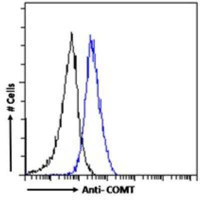 Flow Cytometry: COMT Antibody [NB100-1780]