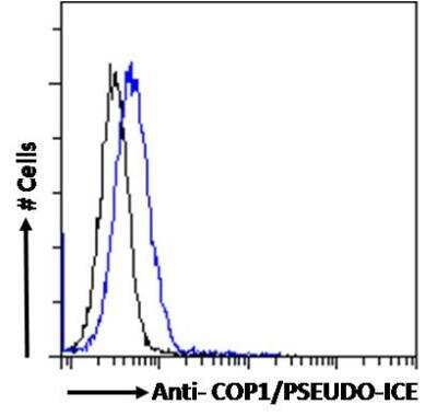 Flow Cytometry: COP Antibody [NB100-856]