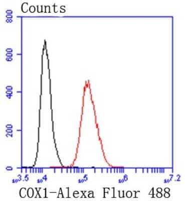Flow Cytometry: COX-1 Antibody (SC68-05) [NBP2-67643]