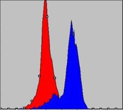 Flow Cytometry: COX4 Antibody (6B3) - BSA Free [NBP1-51650]