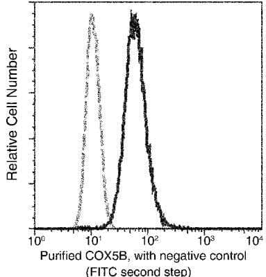 Flow Cytometry: COX5b Antibody (031) [NBP2-90314]