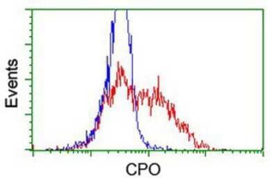 Flow Cytometry: CPO Antibody (OTI1C1) [NBP2-02024]