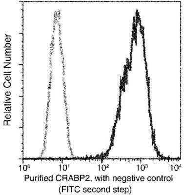 Flow Cytometry: CRABP2 Antibody (004) [NBP2-89836]