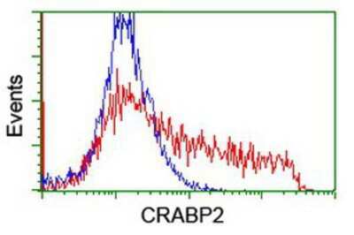 Flow Cytometry: CRABP2 Antibody (OTI10D6) [NBP2-03807]