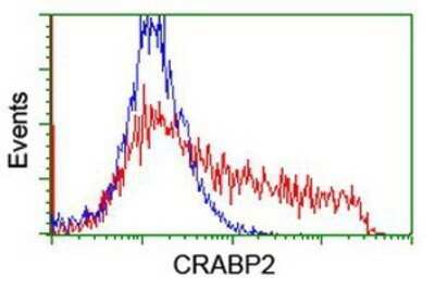 Flow Cytometry: CRABP2 Antibody (OTI10D6) - Azide and BSA Free [NBP2-70448]