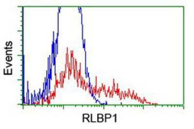 Flow Cytometry: CRALBP Antibody (OTI1G6) [NBP2-00968]