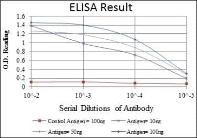 ELISA: CREB Antibody (5G3) - BSA Free [NBP2-37610]