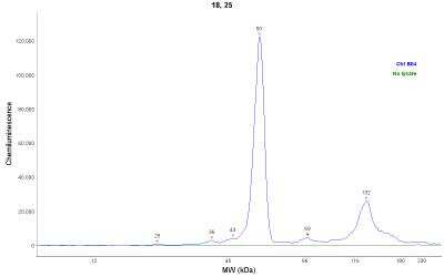 Simple Western: CREB Antibody [NBP1-90364]