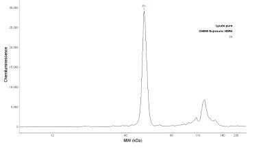 Simple Western: CREB Antibody [NBP1-90364]