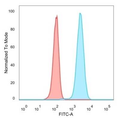 Flow Cytometry: CREB5 Antibody (PCRP-CREB5-1G8) [NBP3-13818]