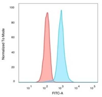 Flow Cytometry: CREB5 Antibody (PCRP-CREB5-1G8) [NBP3-13818]