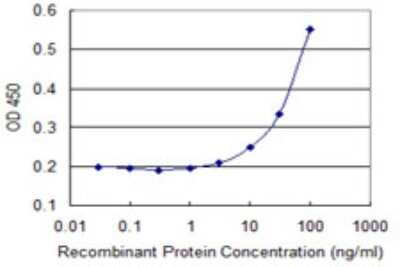 Sandwich ELISA Capture: CRMP1 Antibody (2B6) [H00001400-M50]