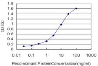 ELISA: CRX/CORD2 Antibody (2F12) [H00001406-M03]