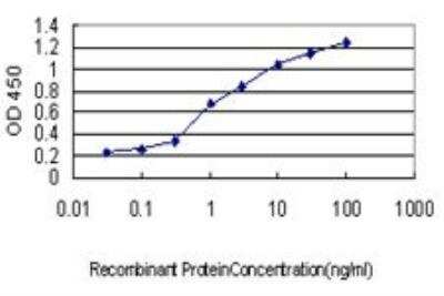 ELISA: CRX/CORD2 Antibody (4G11) [H00001406-M02]