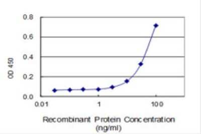 Sandwich ELISA Capture: CRY1 Antibody (4H4-1C4) [H00001407-M01]