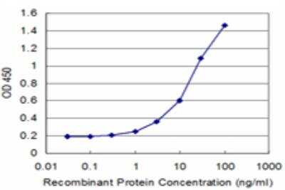 ELISA: CRY2 Antibody (3H4) [H00001408-M03]