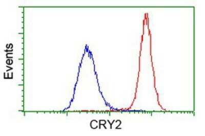 Flow Cytometry: CRY2 Antibody (OTI1H5) - Azide and BSA Free [NBP2-70449]