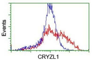 Flow Cytometry: CRYZL1 Antibody (OTI2F9) - Azide and BSA Free [NBP2-71522]