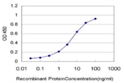 ELISA: CTAG2 Antibody (3H1) [H00030848-M04]