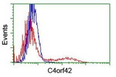 Flow Cytometry: CTBP1-DT Antibody (OTI2C6) - Azide and BSA Free [NBP2-72333]