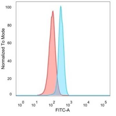 Flow Cytometry: CTBP2 Antibody (PCRP-CTBP2-1A9) - C-terminus [NBP3-07789]