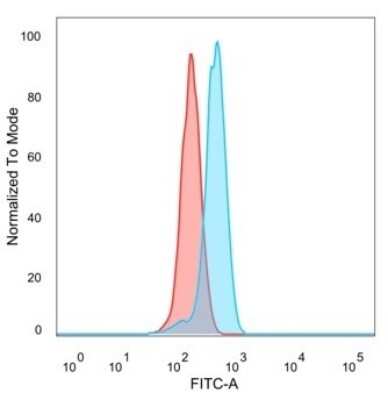 Flow Cytometry: CTBP2 Antibody (PCRP-CTBP2-2D11) - C-terminus [NBP3-07790]