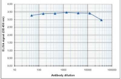 ELISA: CTCF Antibody [NBP2-59228]