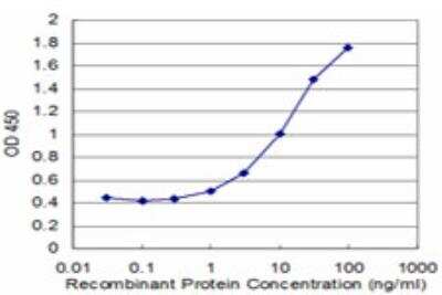 ELISA: CTNNAL1 Antibody (2C11) [H00008727-M05]