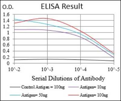 ELISA: CTNNBL1 Antibody (1E4F5) - BSA Free [NBP2-37252]