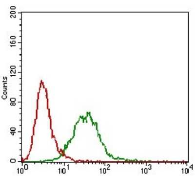 Flow Cytometry: CTNNBL1 Antibody (1E4F5) - BSA Free [NBP2-37252]