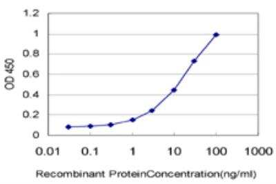 ELISA: CTNS Antibody (5G6) [H00001497-M09]