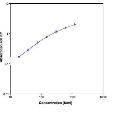 ELISA: Monkey CXCL8/IL-8 ELISA Kit (Colorimetric) [NBP1-92706]