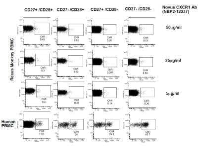 Flow Cytometry: CXCR1/IL-8RA Antibody (MM0221-7D22) - Azide and BSA Free [NBP2-12237]