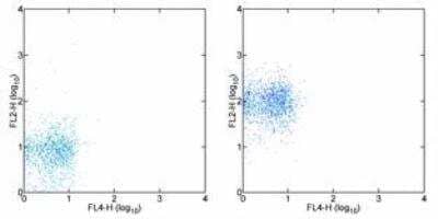 Flow Cytometry: CXCR2/IL-8RB Antibody (5E8-C7-F10) - BSA Free [NBP1-43338]