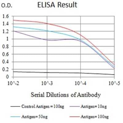ELISA: CXCR3 Antibody (5C10E6) - BSA Free [NBP2-61681]