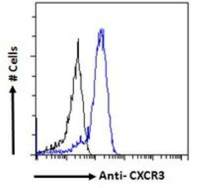 Flow Cytometry: CXCR3 Antibody [NBP2-77442]