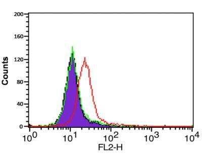 Flow Cytometry: CXCR4 Antibody - BSA Free [NBP1-77067]