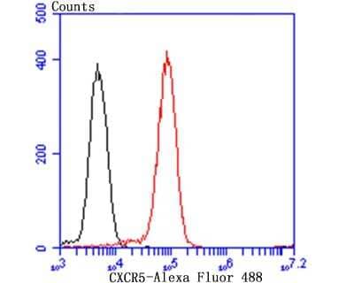 Flow Cytometry: CXCR5 Antibody (JB11-40) [NBP2-75460]