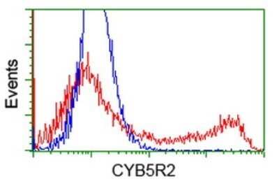 Flow Cytometry: CYB5R2 Antibody (OTI4B9) - Azide and BSA Free [NBP2-71942]