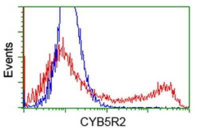 Flow Cytometry: CYB5R2 Antibody (OTI4B9) [NBP2-01015]