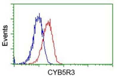 Flow Cytometry: CYB5R3 Antibody (OTI2A10) - Azide and BSA Free [NBP2-70572]